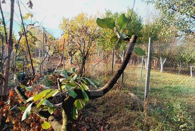 Casa 2 camere, 50 mp, zona Fratelia - 18