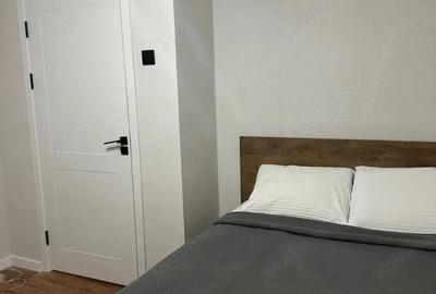 Se ofera spre inchiriere garsoniera in zona Gorjului - 3