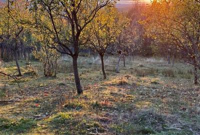 Spațiu comercial, în Horezu - 1