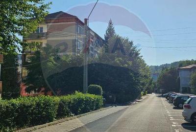 Apartament doua camere Gura Campului Medias - 4