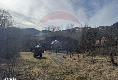 Teren de 1271 mp, în Livezile - 8