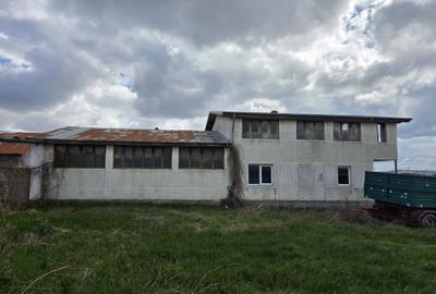 Casă cu 3 camere în Bogonos - 4