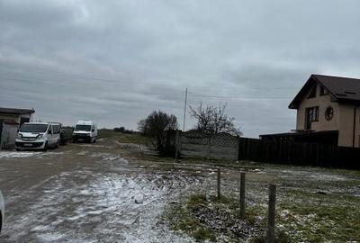 Teren de 10000 mp, în Coșoveni
