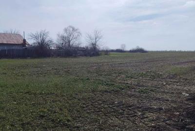 Spațiu comercial, în Dascălu - 5