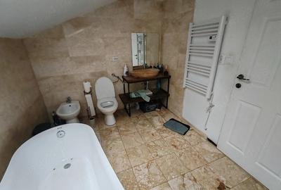 Casă cu Teren 3600 Mp în Bejan - 3
