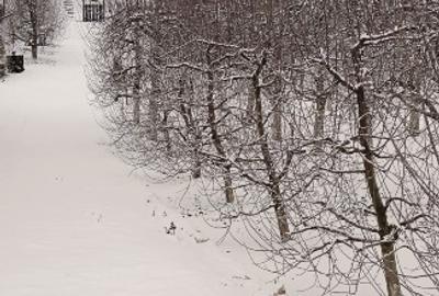 Casă individuală cu 3 camere cu Teren 2800 Mp în Boțești - 3