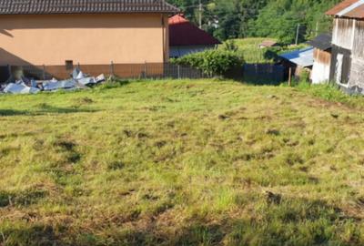 Teren de 7000 mp, în Ștubeie Tisa - 9