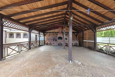 De vanzare proprietate unicat in Sascut - Bacau - 11