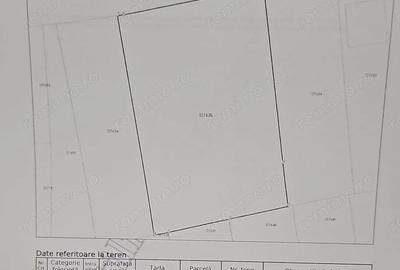 Teren de 2300 mp, în Vânători - 3