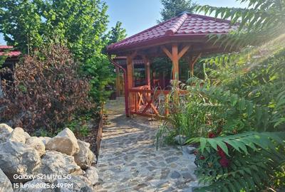 TEISORI (JUD. GIURGIU) - DE VZ CASA OASPETI + ANEXE - 37