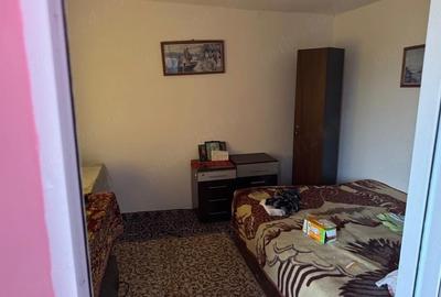 Casă cu Teren 4000 Mp în Valea Nucarilor - 4