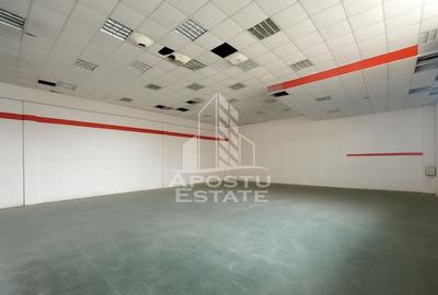 Spațiu industrial, 435 mp în Șagului