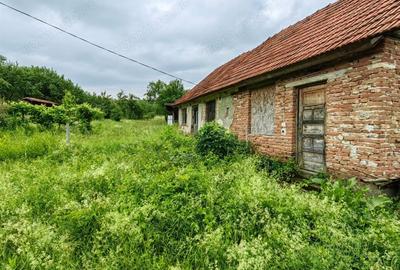 Teren de 18645 mp, în Sântămăria de Piatră - 5