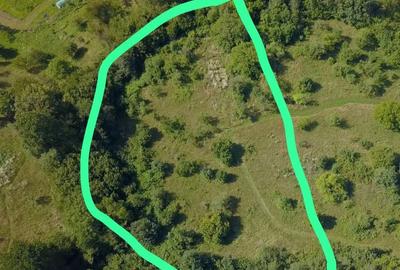 Spațiu comercial, în Dănești - 1