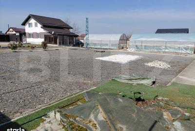 Teren de 600 mp, în Cernele - 3