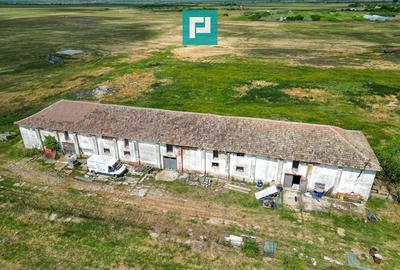 Hală industrială cu teren generos în Zărand, Arad - 9