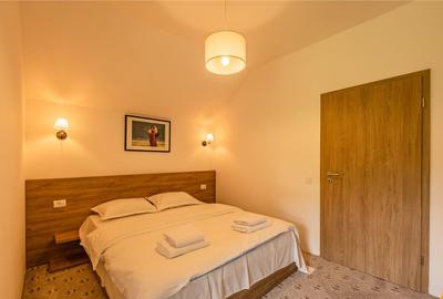 FILM! Oaza de relaxare si rafinament, in peisaje montane spe - 3