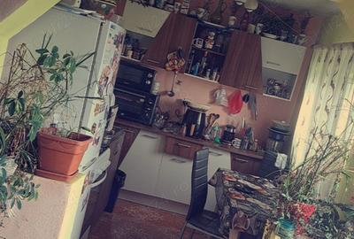 Casă cu 2 camere cu Teren 12400 Mp în Sărăuad - 7
