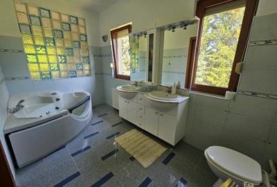 De vanzare vila individuala  Snagov padure-lac - 18