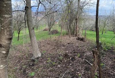 Breaza - str. Plaiului, teren 1400 mp - 10