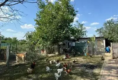 Casă cu 5 camere cu Canalizare în Ion Roată - 8