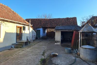 Casa cu teren 5100mp în Sacadat - 5