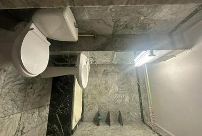 Apartament cu 3 camere decomandat în Paltiniș - 6