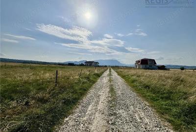 Teren, intravilan, locatie superba - 1