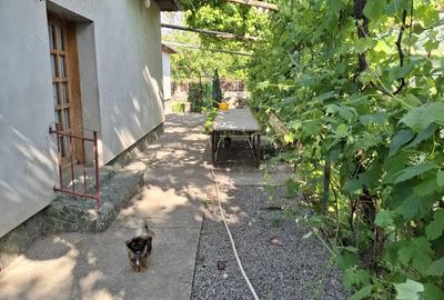 Casă cu Teren 800 Mp în Central - 11