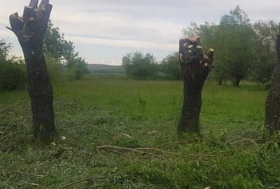 Spațiu comercial, în Central - 1