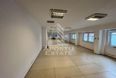 Imobil de vanzare P+M, 173 mp utili,  Elisabetin. - 16