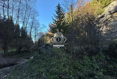 Teren 2.882 mp – oportunitate investitie - Cheile Dâmbovicioarei - 16