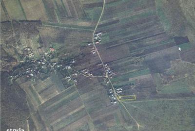 Casă cu 3 camere cu Teren 3487 Mp în Tănăsoaia - 3