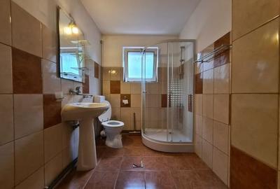 Casa si spatiul comercial Deva zona Centrala - 10