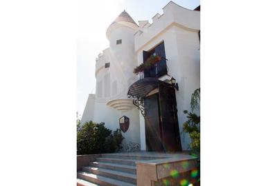 REV2000904 Vila spectaculoasa - zona Cernica - 6