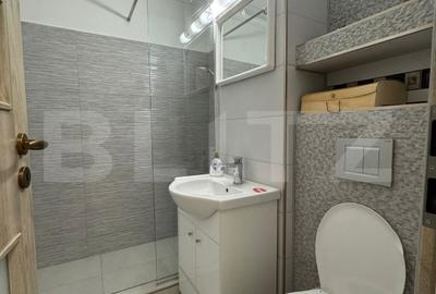 Garsoniera de vanzare, 25 mp, renovata, zona - Sebastian - 6