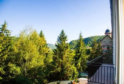 Apartament cu 2 Camere de vanzare in Nehoiu Ultracentral - 7