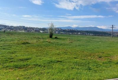 Teren Intravilan  3421 mp , P+3  aprobat, spre vanzare in Turnisor - 4