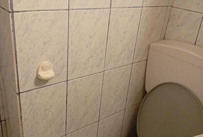 Apartament cu 2 camere decomandat în Fortuna - 1
