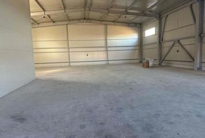 Spațiu comercial, de 490 mp, în Chitila - 2