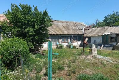 Vand casa batraneasca sat ciresanu com Baba Ana judetul Prahova casa compusa din trei camere plus de - 10