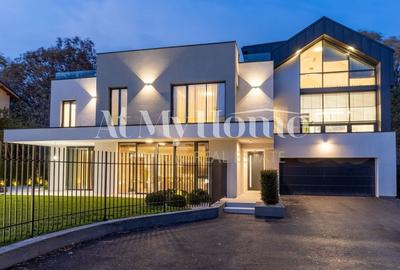 Vila langa padure Iancu Nicolae | Piscina - 16