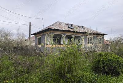 Se vinde casa batraneasca+ teren 2200 mp in Sat Izvoru, Arges - 3
