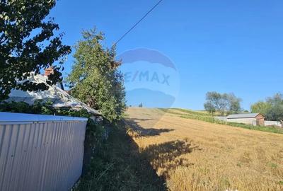 Teren de 7500 mp, în Moara - 13