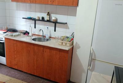 Tineretului metrou PARC Piata Norilor DECOMANDAT,renovat recent Mobilat UTILAT - 6