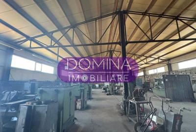 Proprietate industriala - Tg. Jiu - teren + hala + birouri - 3