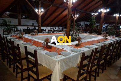 Hotel/Pensiune, de 1,000 mp, în Vințu de Jos - 9