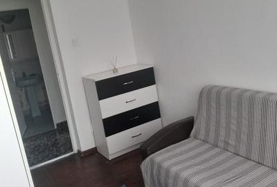Apartament cu 2 camere decomandat în Gojdu - 7