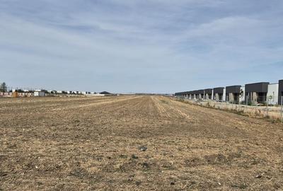 Teren de 16248 mp, în Domnești