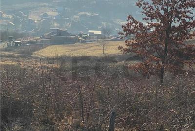 Teren de 1250 mp, în Spitalul Județean - 1